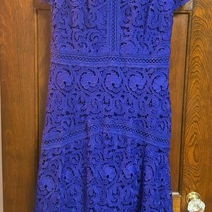 Royal Blue Lace Fit & Flare Dress